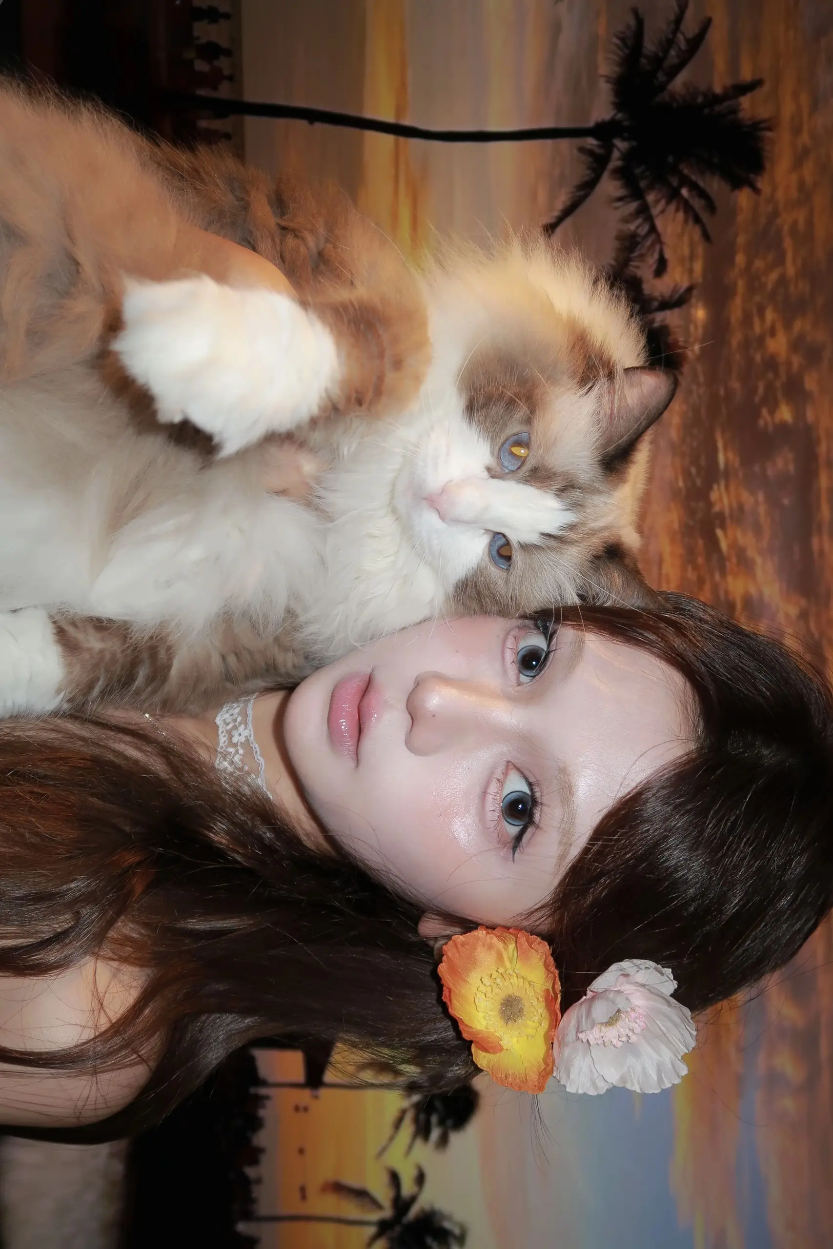 和猫猫的日落大片🌅猫系眼妆和小猫自拍。