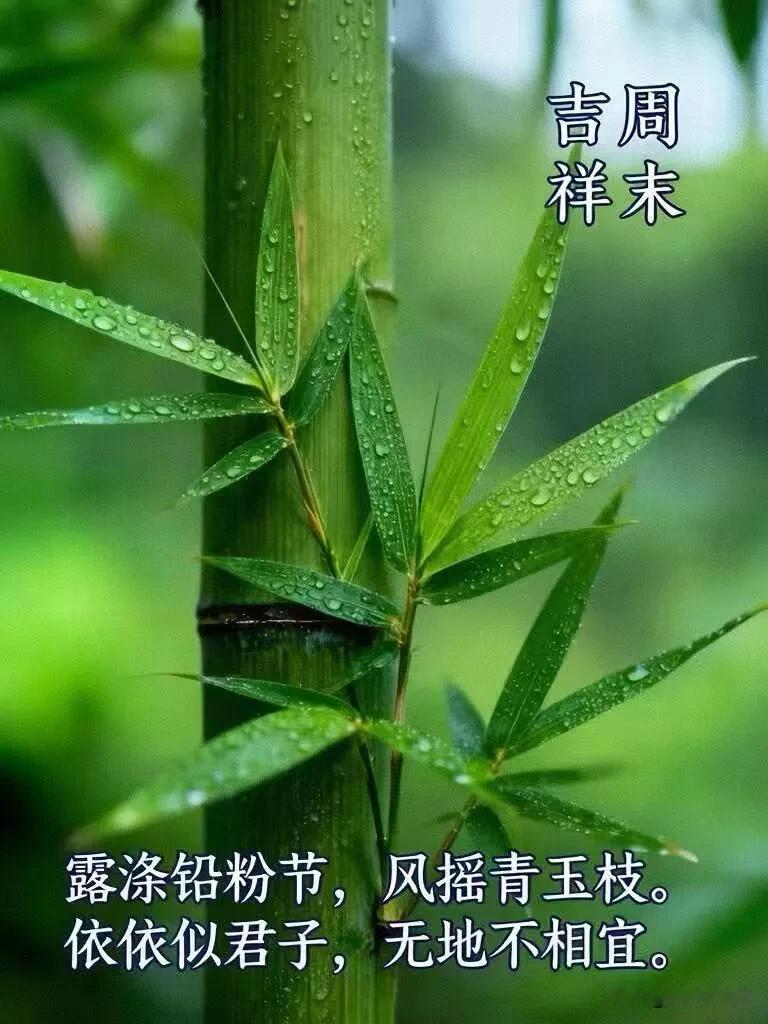 新的一天，放下心中疲惫。万般期盼，莫过于阖家无恙，岁岁安康。早上好。