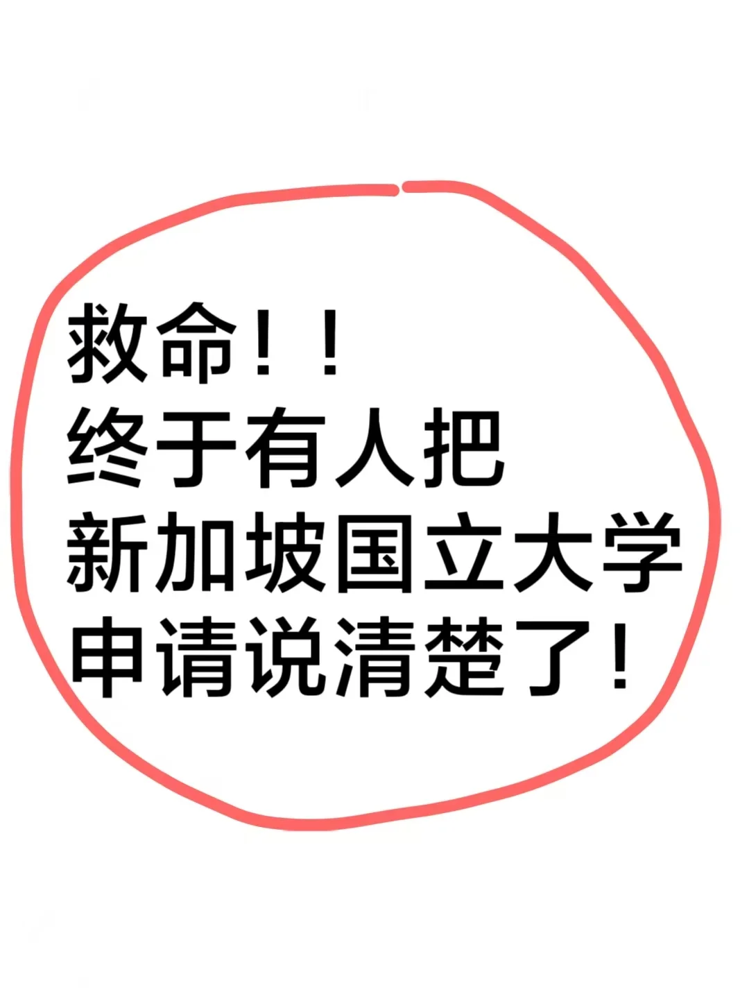 🆘救命！终于有人把NUS录取说清楚了！