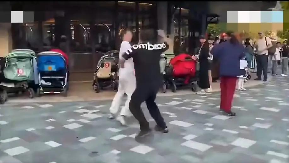 迪士尼排队惊魂！他究竟说了啥，竟遭狂殴？

哎，你今天看到那个上海迪士尼的事了吗