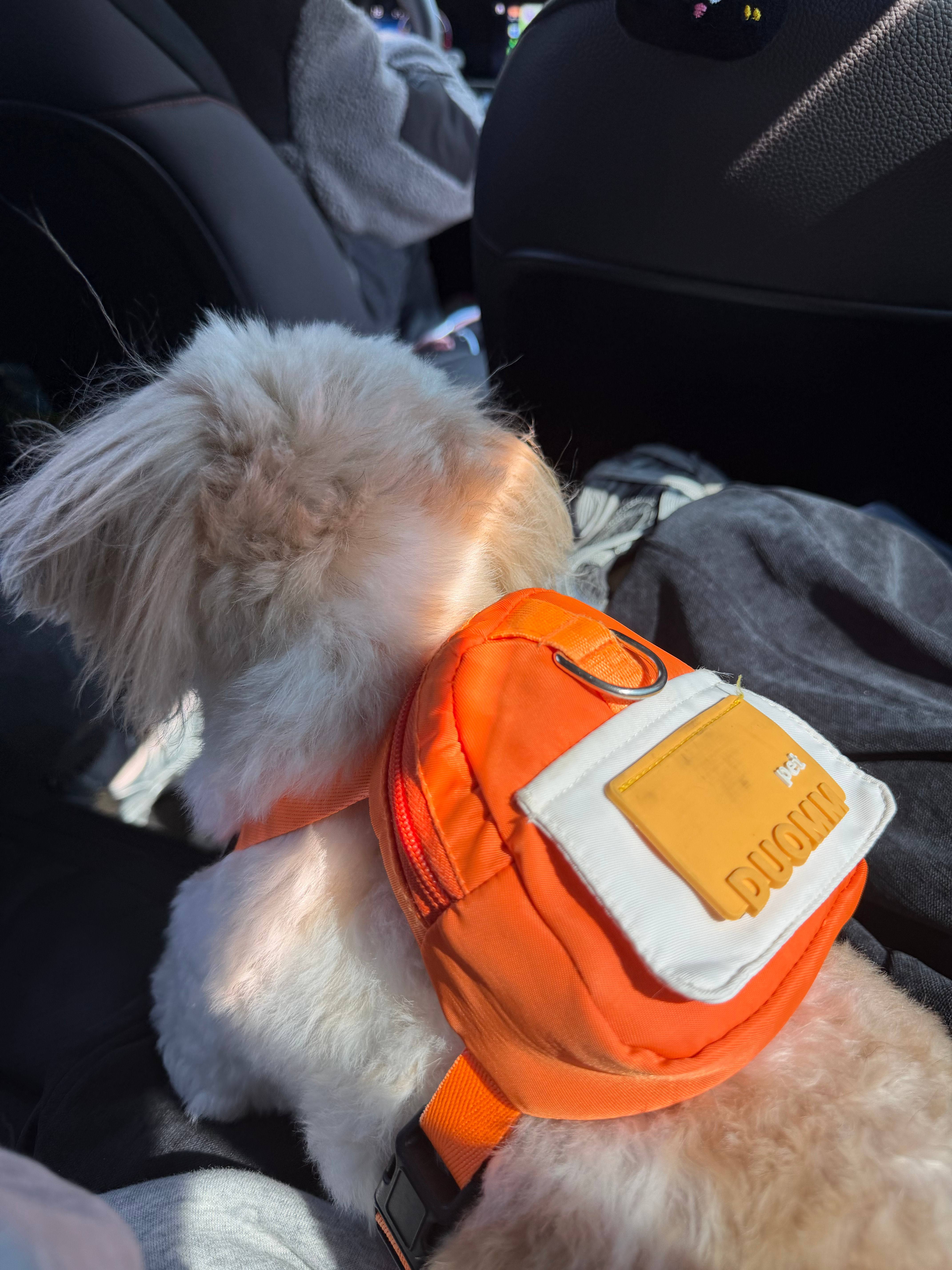 过年很快又要结束了 