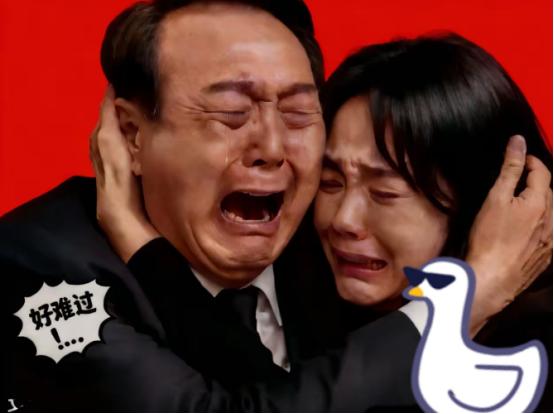 谁能想到，韩国前总统尹锡悦和他老婆金建希居然在同一个法院、同一天受审，曾经住着青