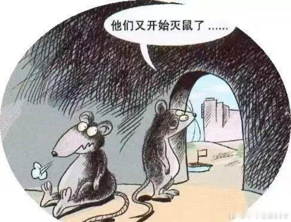 近日，汉坦病毒疫情在大西洋上的“洪迪厄斯”号邮轮上传播，截至5月7日已出现3例死