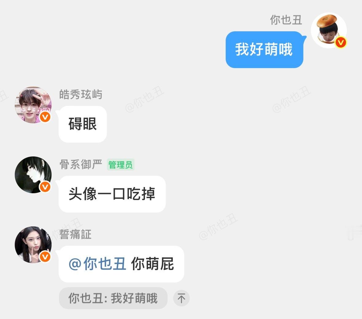 欺负一坨面包 