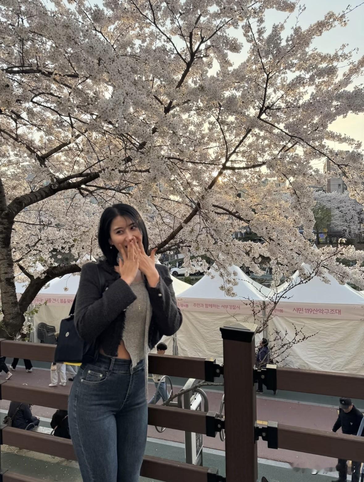 最是一年春好处。