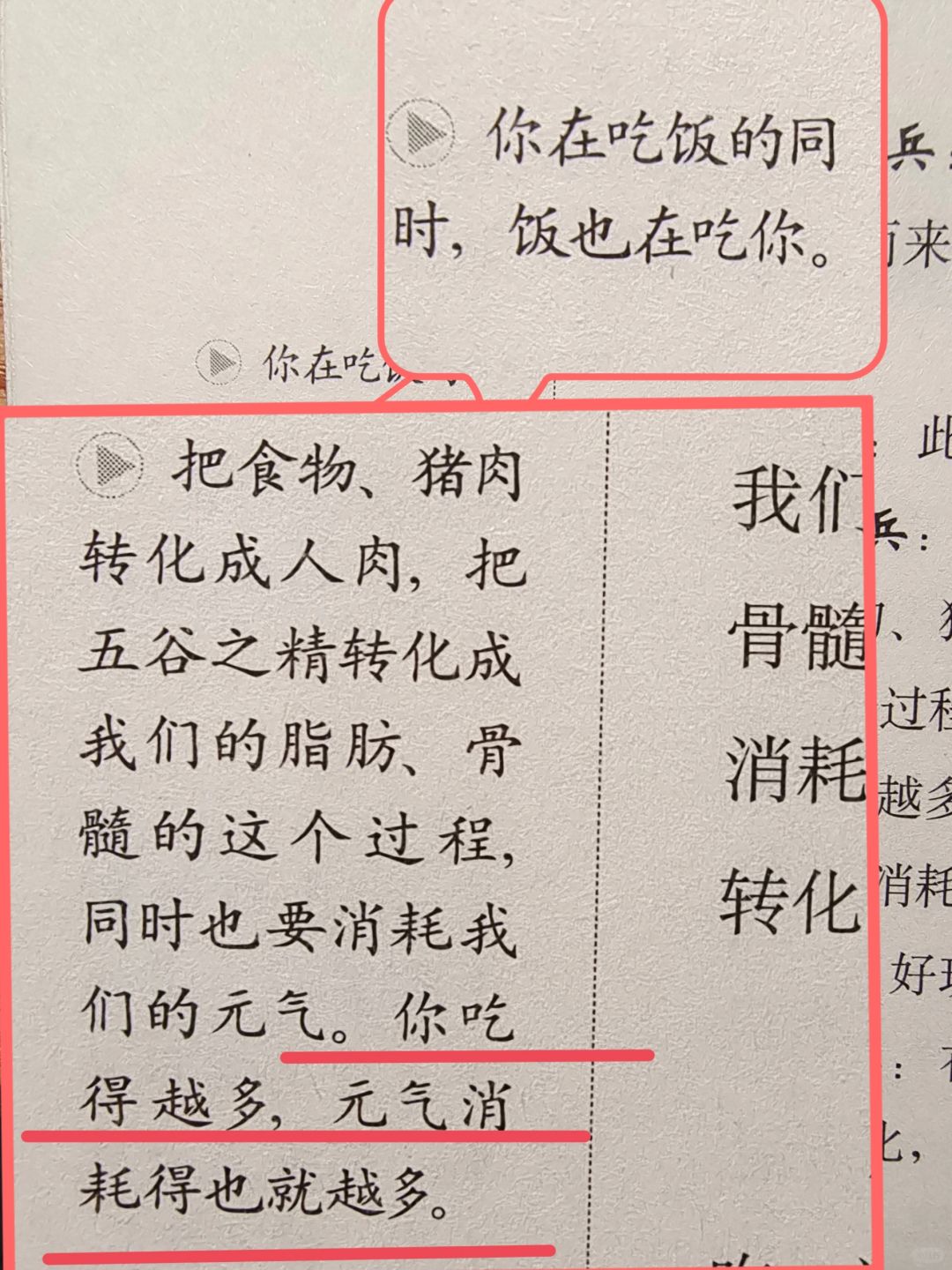 黄帝内经——吃饭的智慧，保存元气🔥