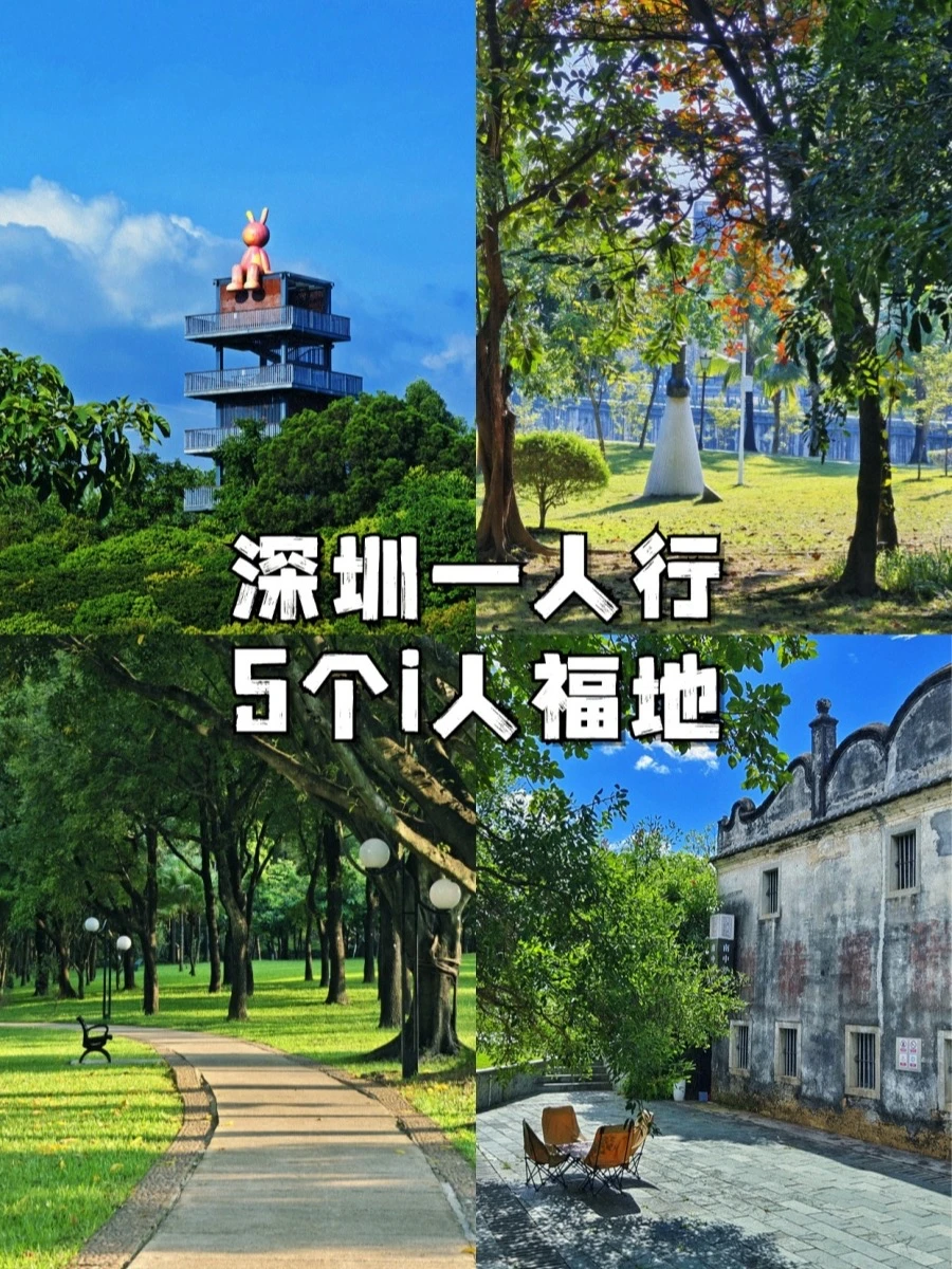 深圳一人行 | 5个适合静静待一下午的角落🌿