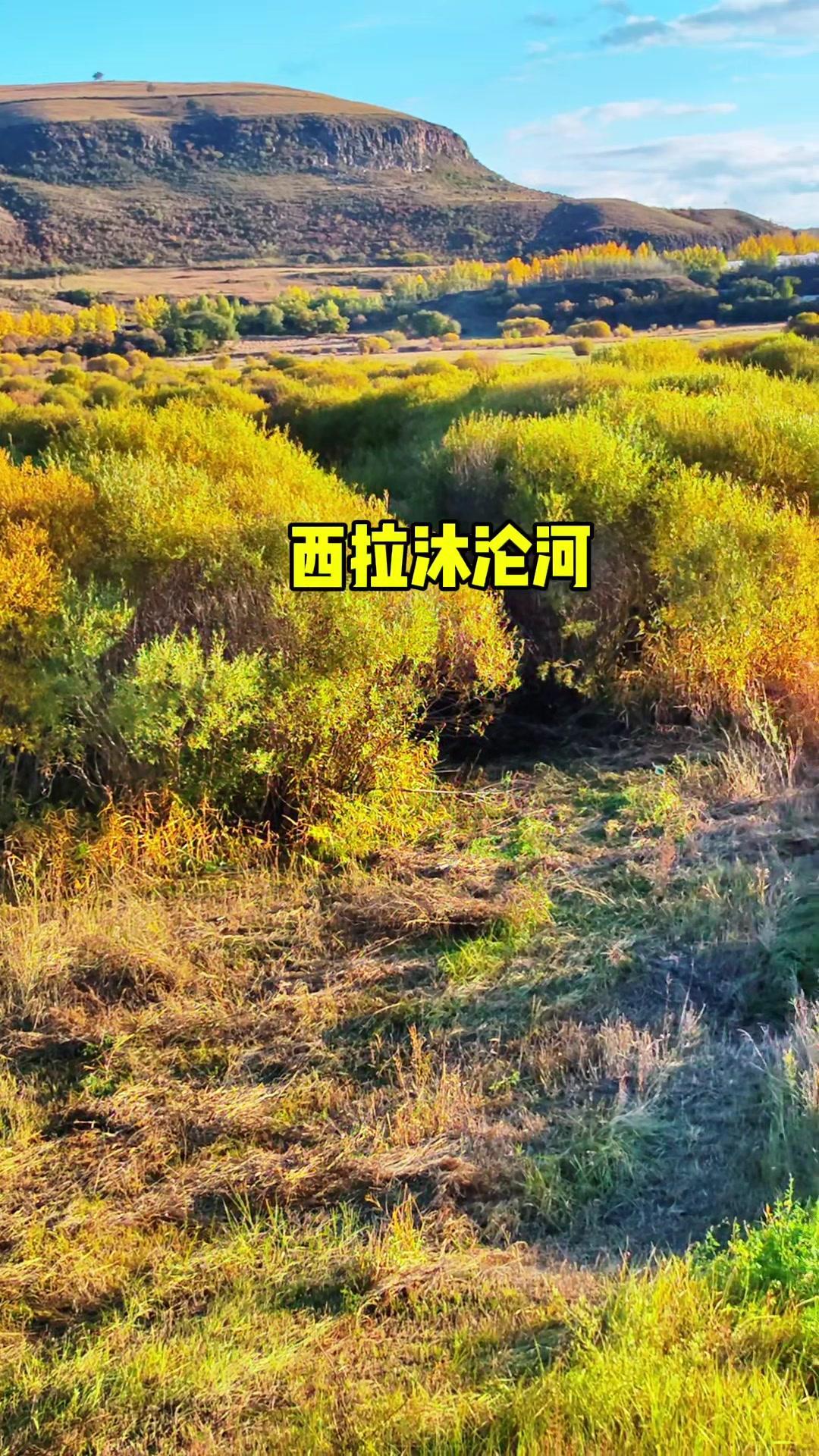 ✨西拉沐沦河，蒙古语意为黄色的河。

1️⃣发源地：赤峰克旗大红山北麓白槽沟。