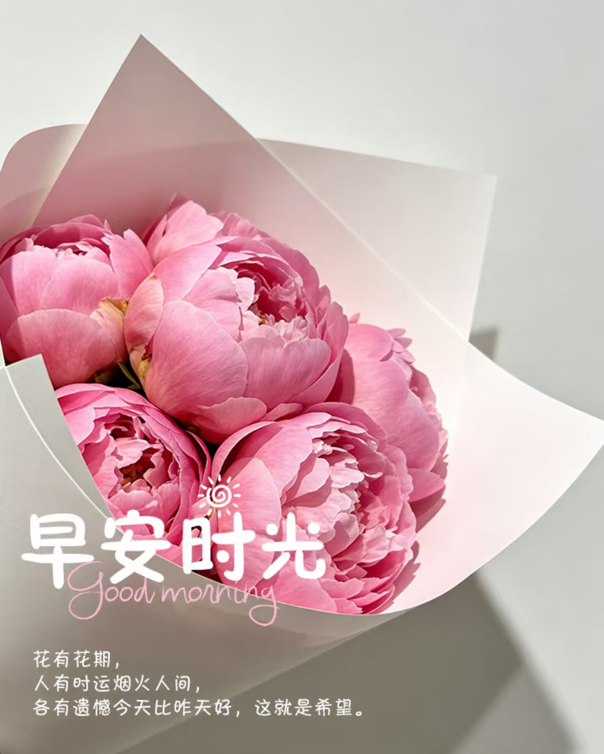芒种到，忙而不茫～有忙有闲才是生活，有收有种才叫日子🌱今天也要像麦穗一样，低头