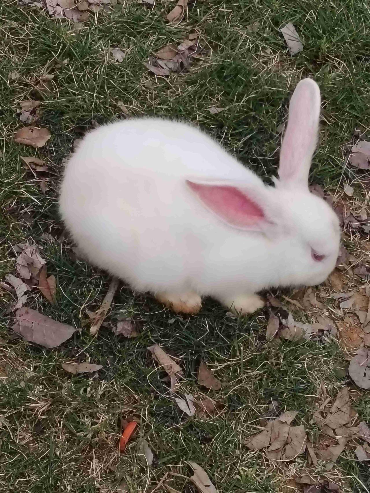 我的今日状态：😁轻松愉快
我这里的天气：☀️晴天