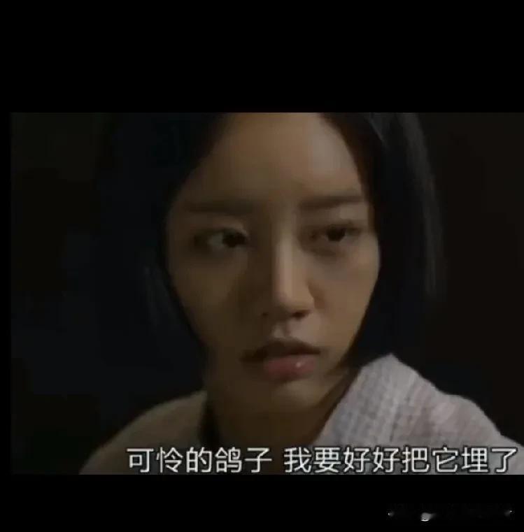 原来德善没说谎，1988年汉城奥运会真是让鸽子正式退出了奥运舞台，汉城奥运会在点