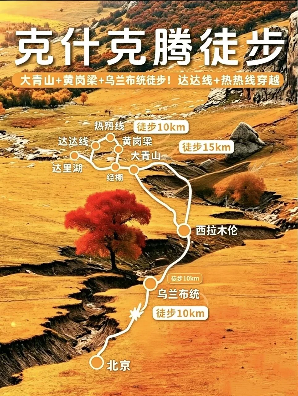 🔥克什克腾徒步｜黄岗梁→大青山→乌兰布统 ▶️踏过黄岗梁的松林山野...