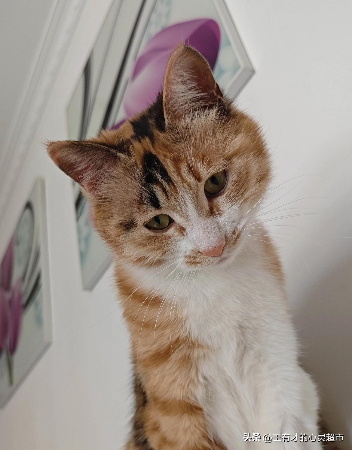 这个世上每个人都在各自的日子里奔波辛苦，各有各的难处，各有各的委屈。少一点计较，