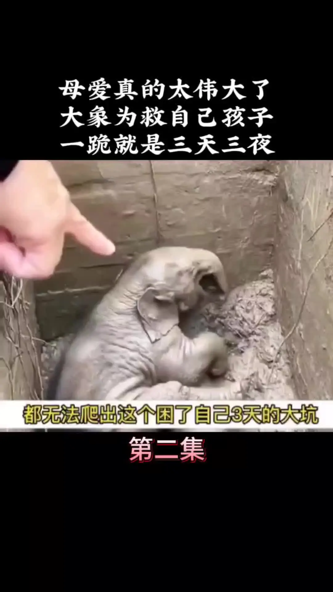 我的观影报告 内容启发搜索 万物皆有灵性