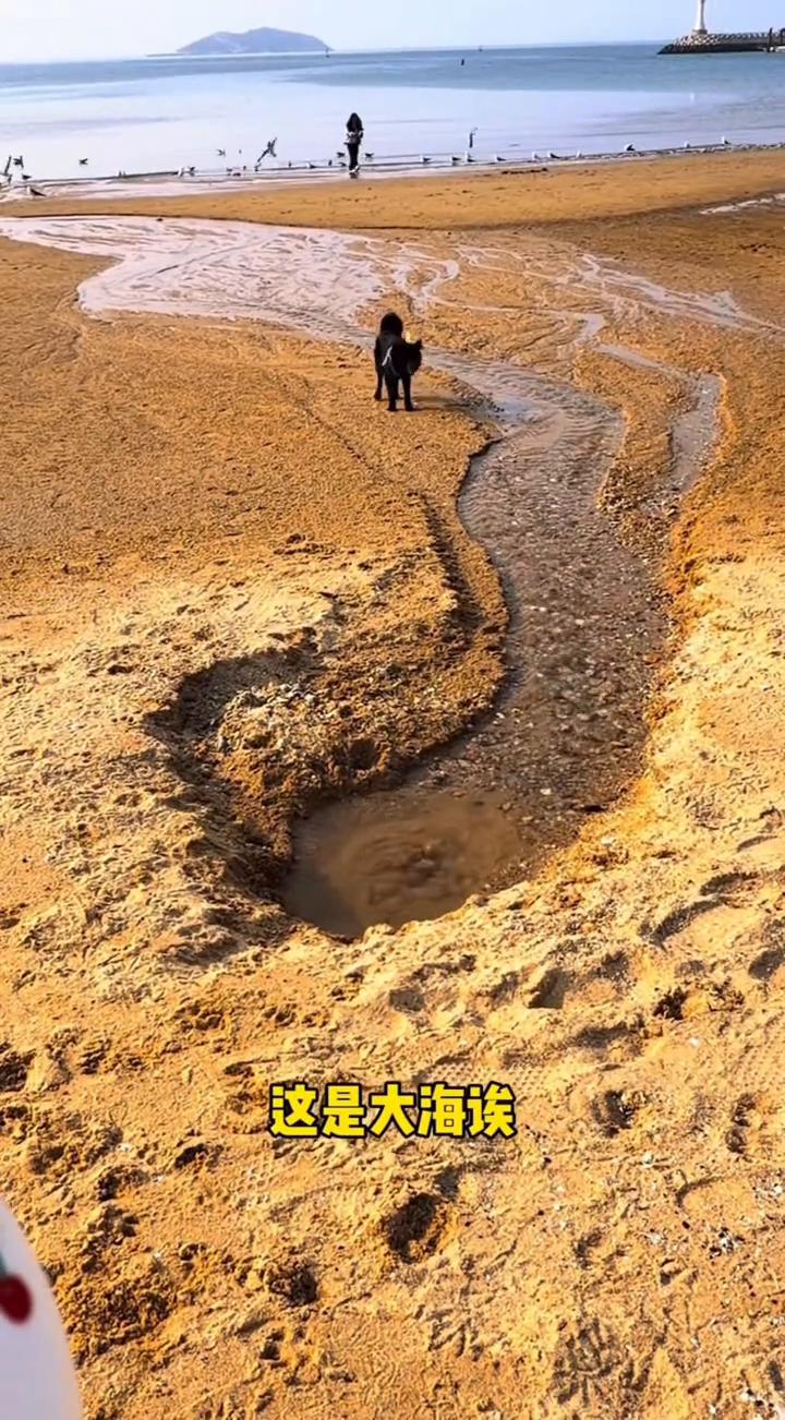 这是咸的还是？这是大海，这到底是咸的还是不咸？