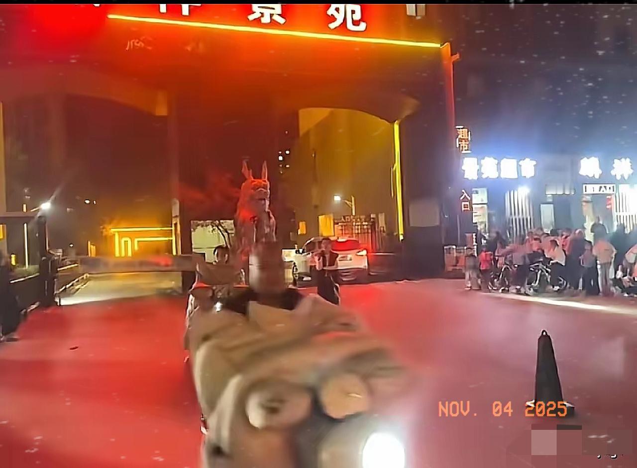 山东这姑娘可太离谱了！网购貂皮大衣居然敢用水洗、机洗，洗报废了还想退货，结果商家