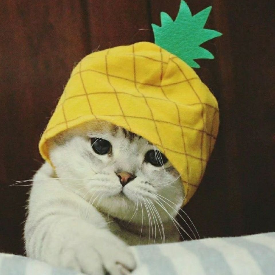 做三天菠萝头再回来 