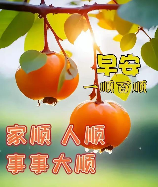 制作精美，歌声甜美，歌好听，仿佛步入人间仙境，[兔逢新春][兔逢新春][兔逢新春