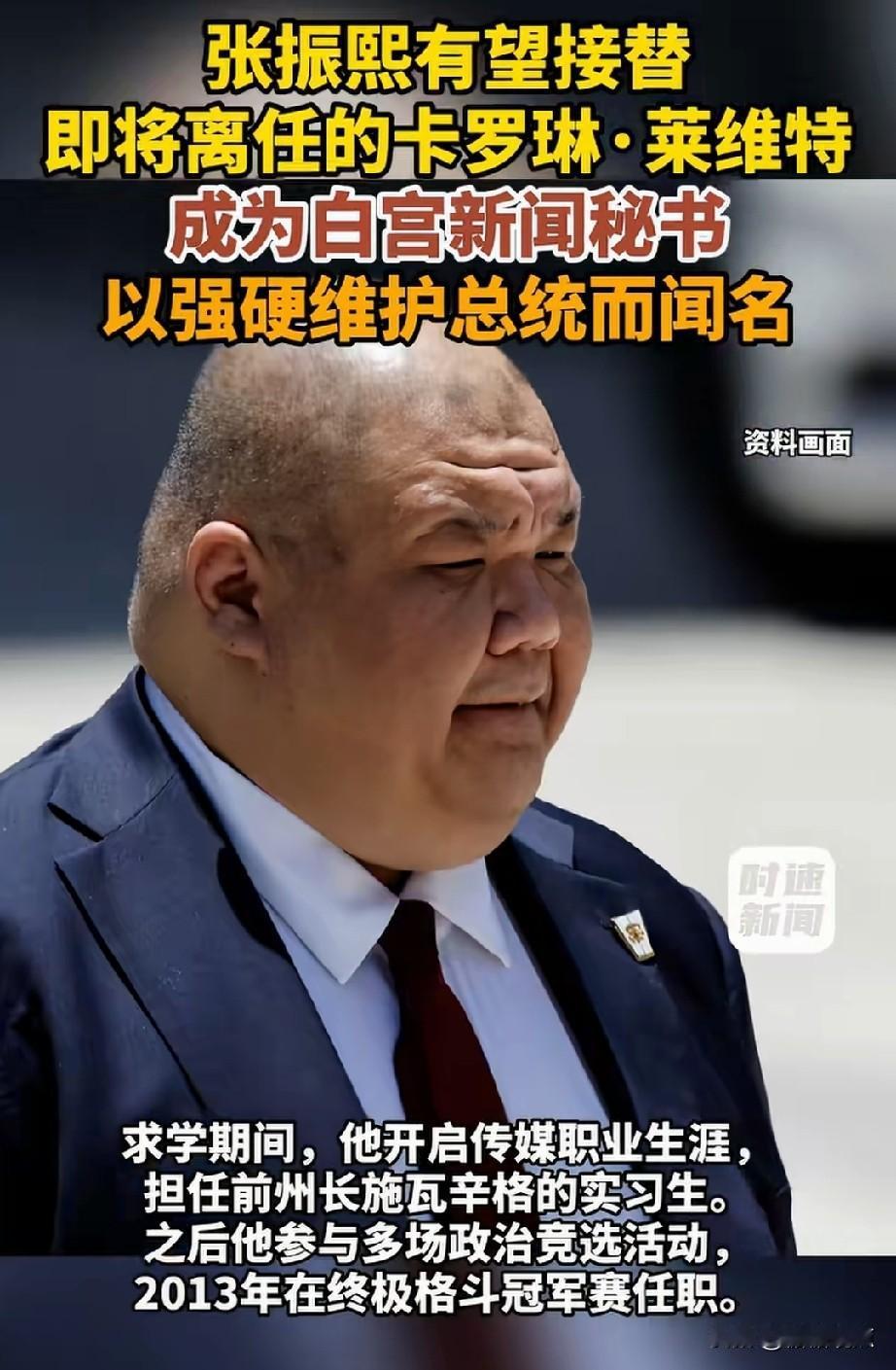 这个胖子名叫张振熙，都在说他要成为新的发言人，你说这块头，形象不如莱维特，凭老特