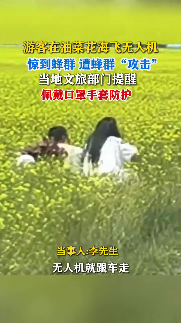 七月二十日，青海门源县百里油菜花海景区内有游客遭蜜蜂群追赶，有人脱下外衣不断挥赶