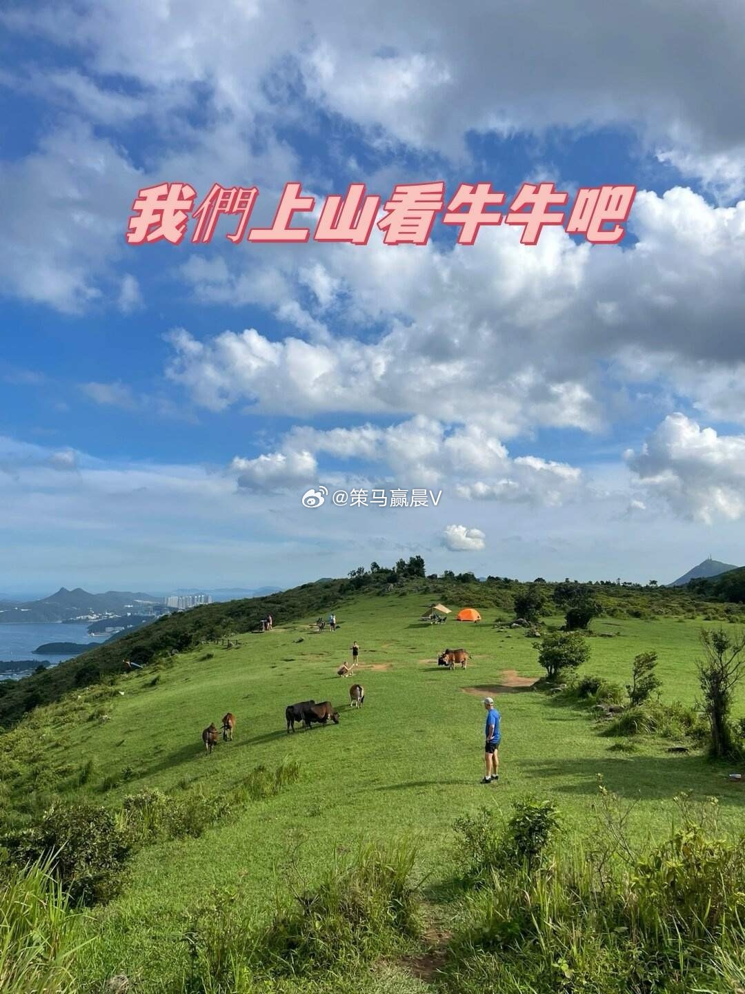 【预告】因周一全天自驾，没时间盯盘。明天我会将手中六牛作个提示，重点跟踪一转型人