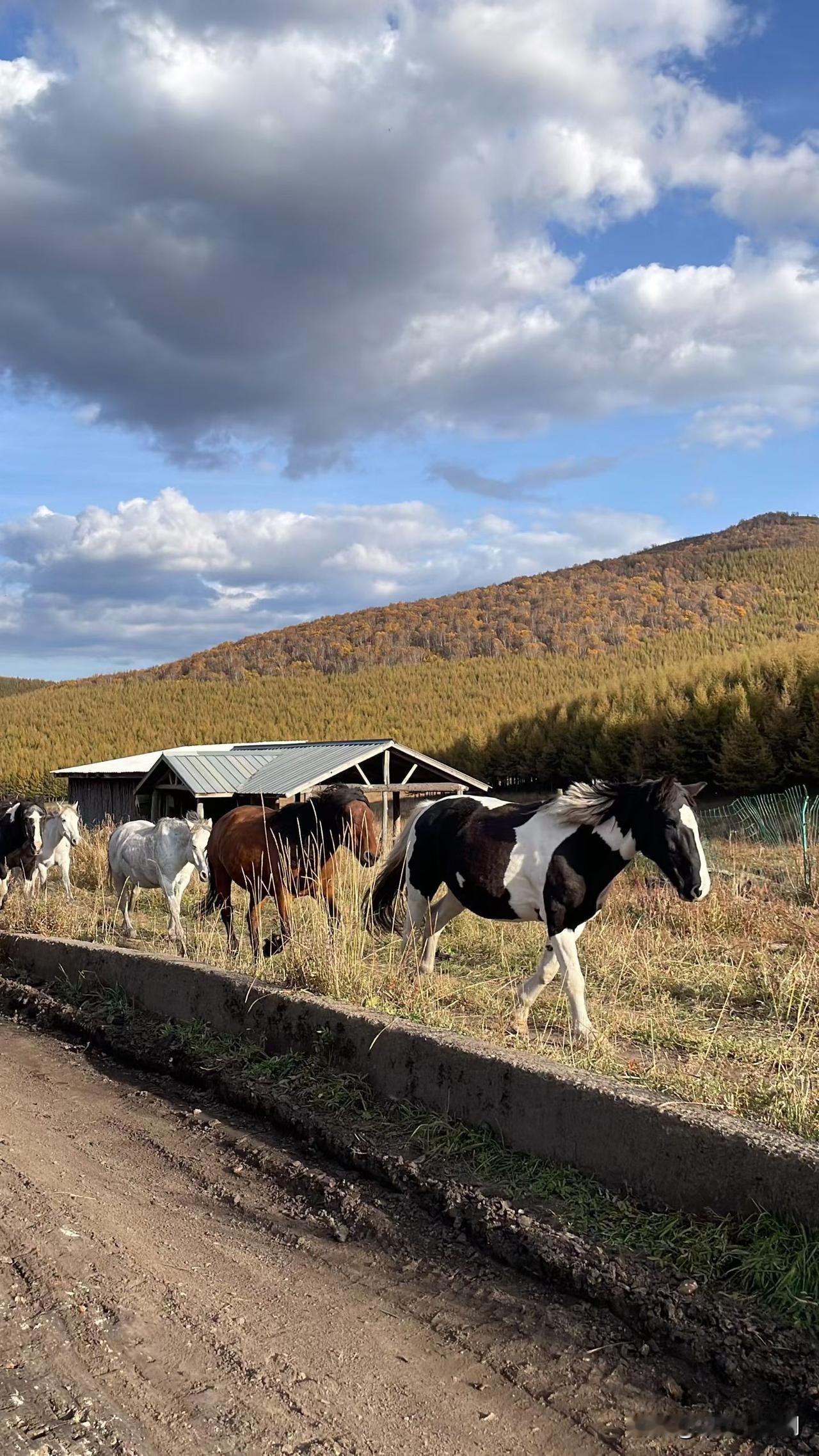 作为一个家长，每天能收到五六个补课机构的电话，我就奇怪了，这电话是怎么泄露出去的
