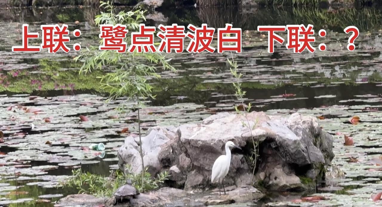 上联：鹭点波清白（古仄），下联你敢对吗？
上联：鹭点波清白（古仄），下联：？ 