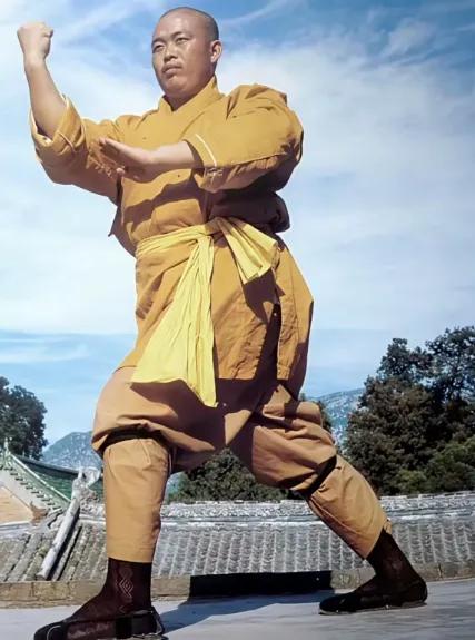 当释某信被大徒弟释延鲁“背刺”时，他不屑一顾，有人劝他：“敬畏一点，袈裟是一件工