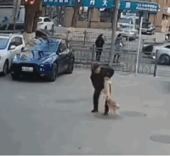 被原配当场抓包的下场，属实惨不忍睹啊！