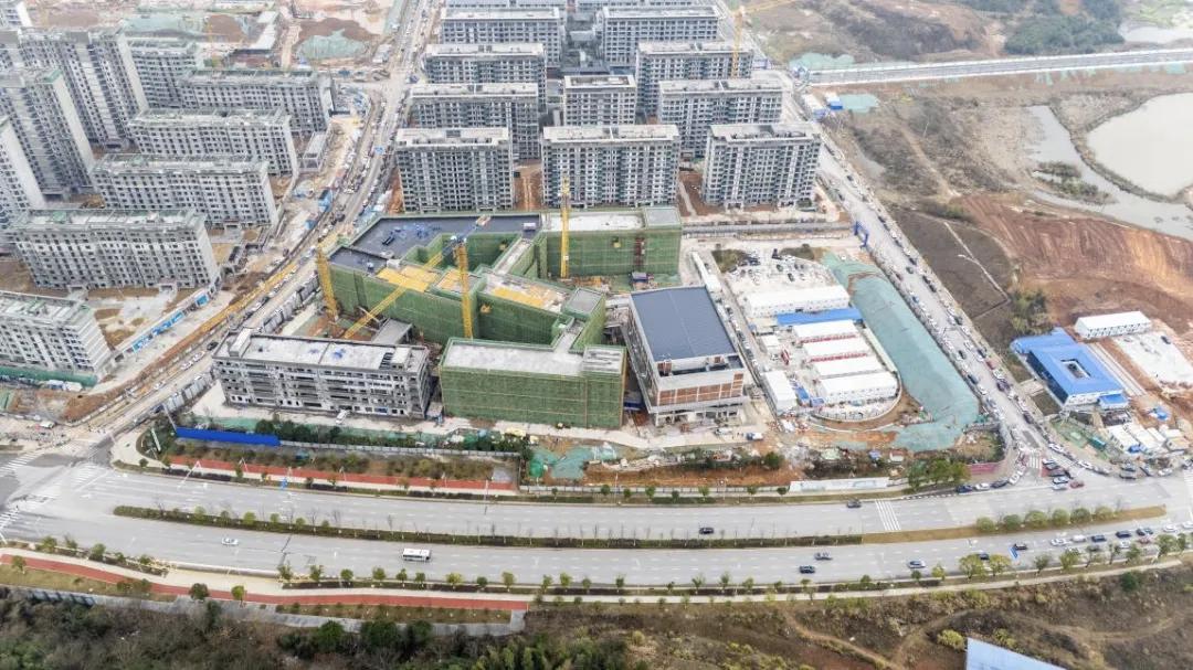 2026年长沙教育配套建设持续提速，梅溪湖国际新城迎来重磅教育利好，片区内木棉小