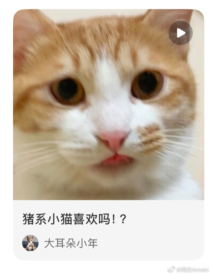 头昏的时候满脑子这个bgm。。转自小红苕 
