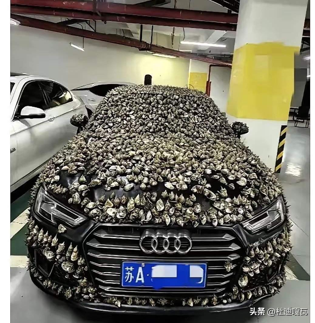 车位被占了10天。
联系不上人。
他花了200多块钱，买贴纸，把对方车贴满了。