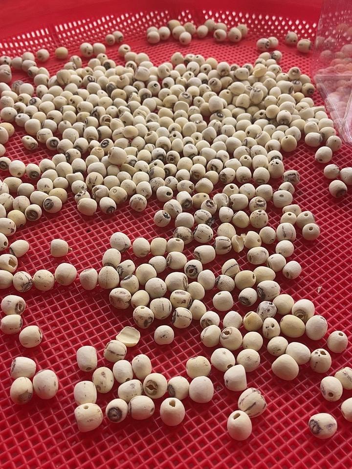 “干什么”用你的家乡话怎么说我糸客家人（干什么）啀讲做唛计，下面有几种补身体的药