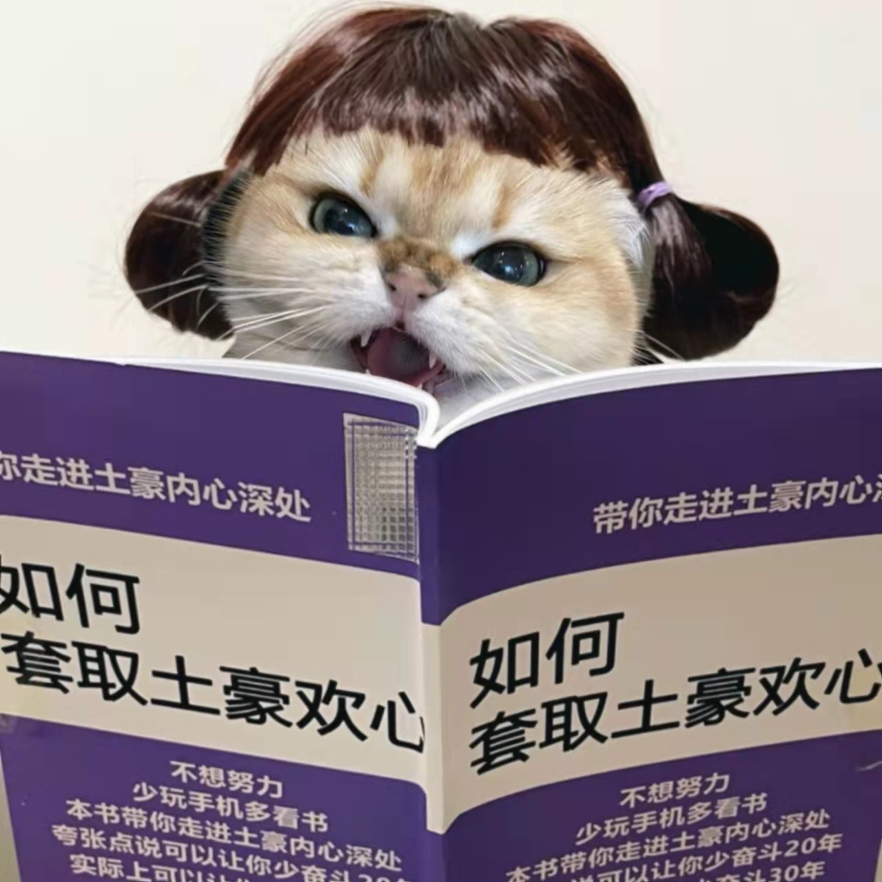 半个月一缸油，想换可爱的小电车[苦涩] ​​​