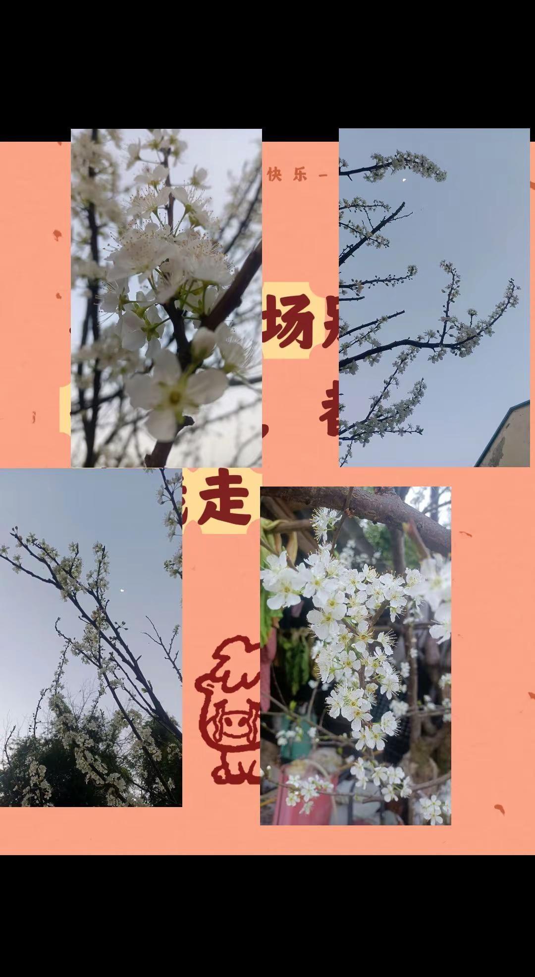 我评论了@海阔天空 的作品：在菜市场别人丢掉了，都不给我走