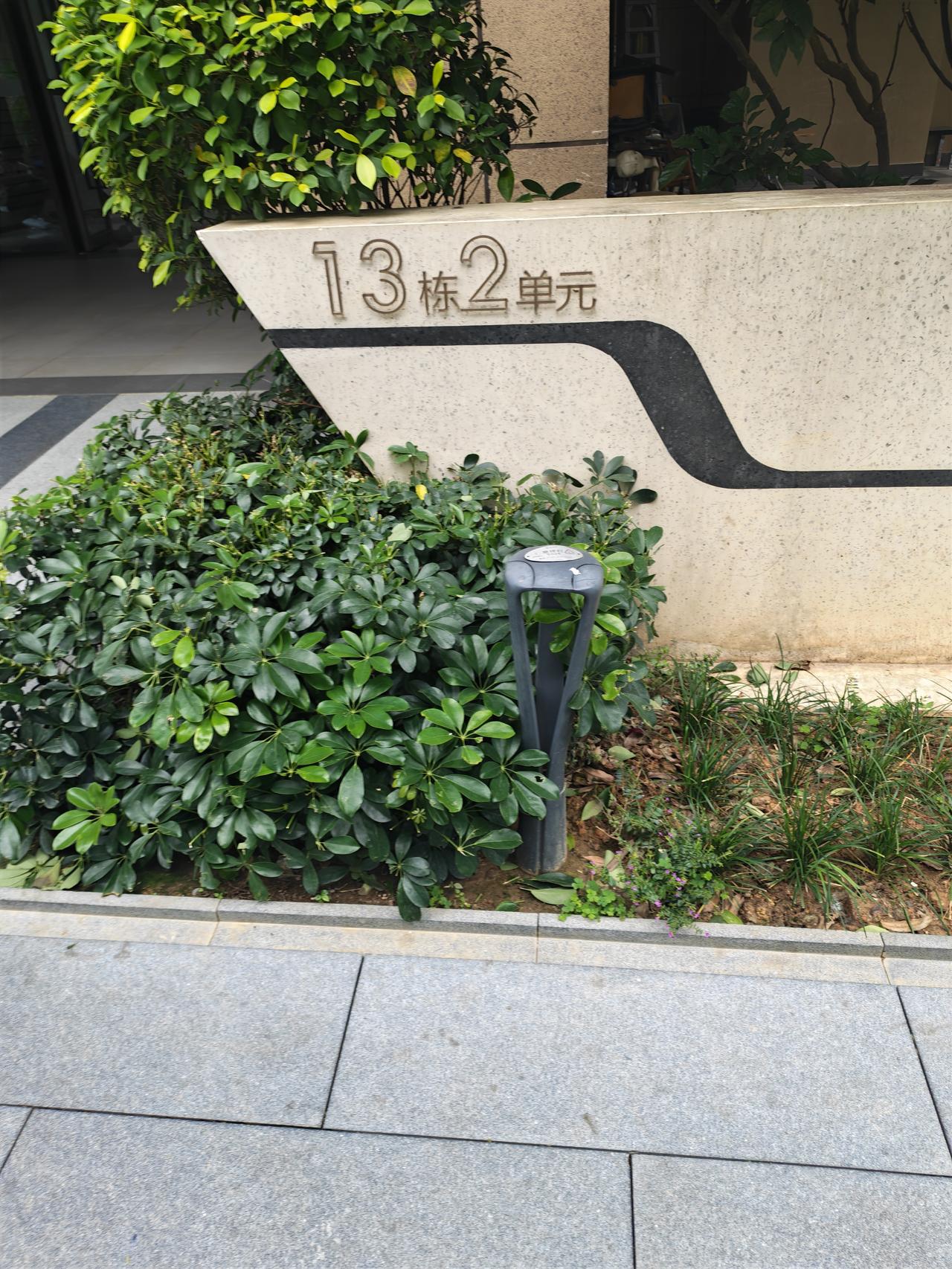 今天进入深圳，一个公租房小区，真的太大了，十几栋。深圳未来是不是都向这个方向发展