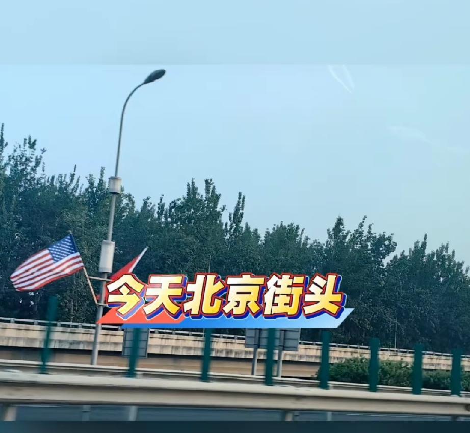 今天的北京街头格外美丽。我13-15号先暂停，过15号等通知。