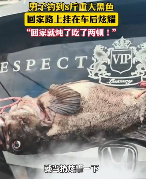 “这就是命啊！”8月2日，大连，一男子在河边钓鱼，竟然钓到一条8斤重的大黑鱼，这