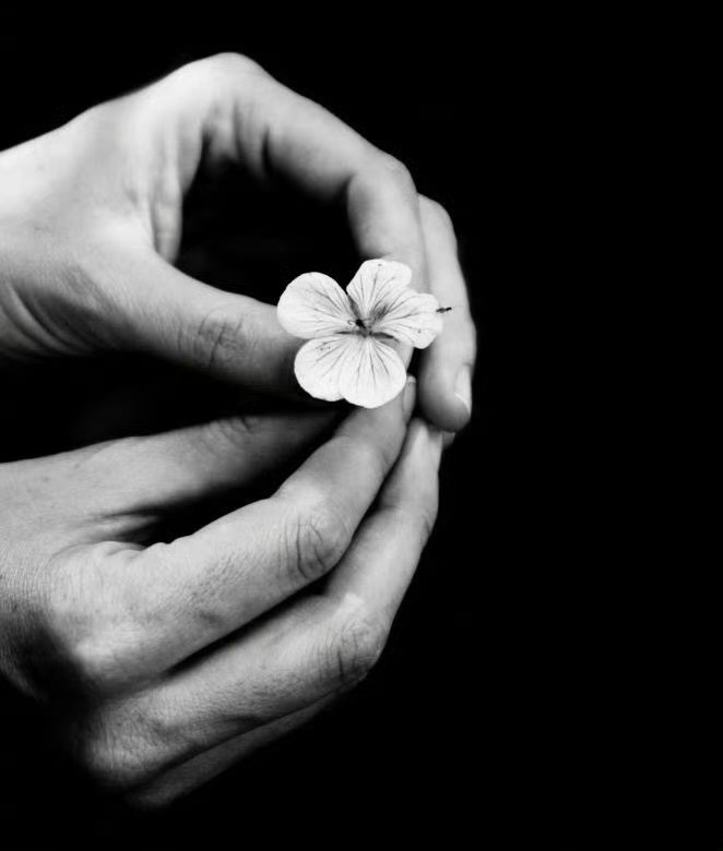 有思想、有学问、有境界、有很高的智慧、有很大的人生成就……以上这些东西，最终都要