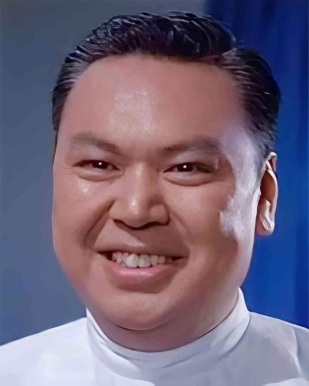 罗维（1918—1996），江苏人，集演员、导演、制片于一身，是七十年代香港功夫