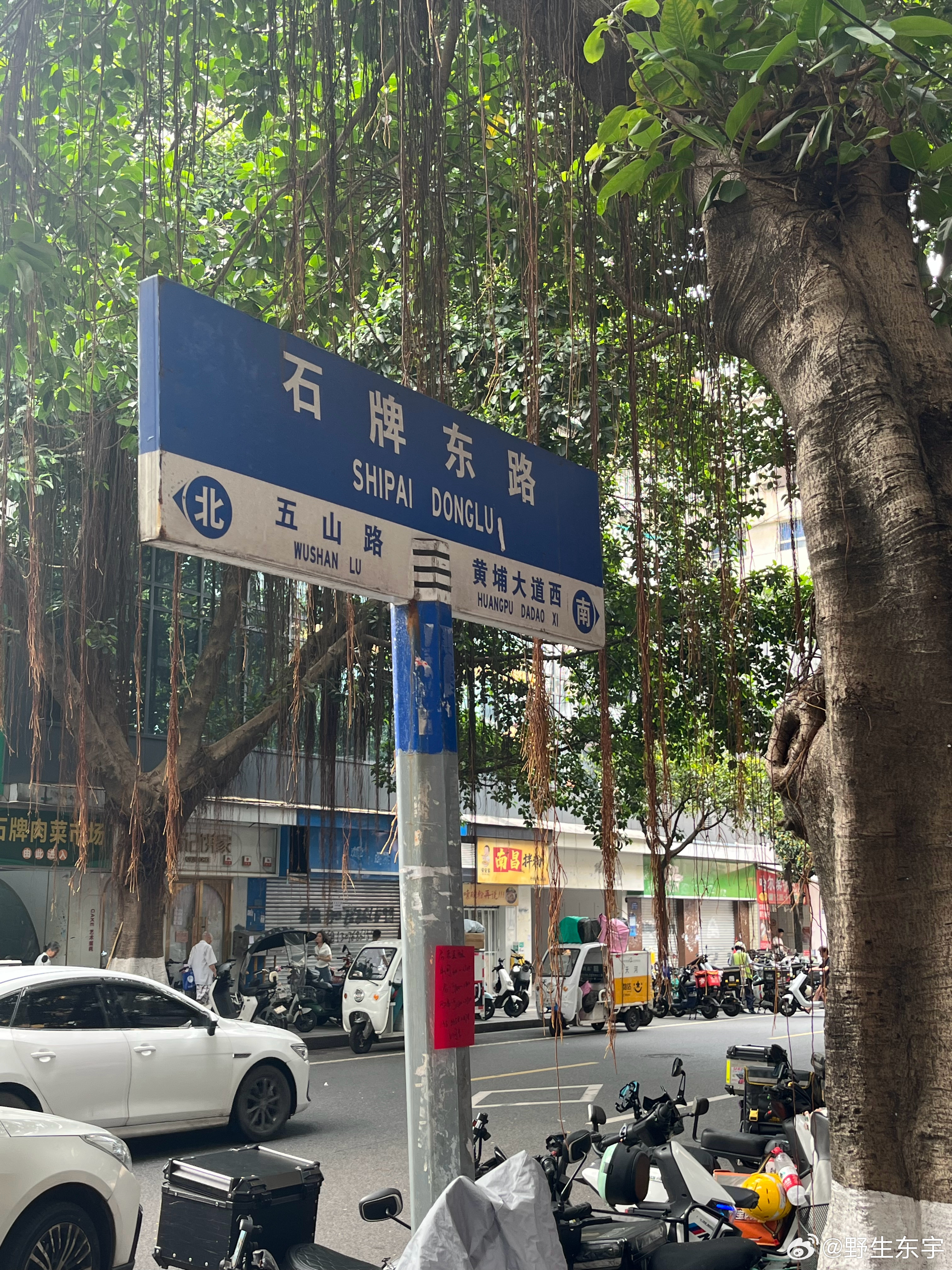 如果你无法接受当下的自己，那便是痛苦！当你有勇气全然接受一切的发生时，你会变得从