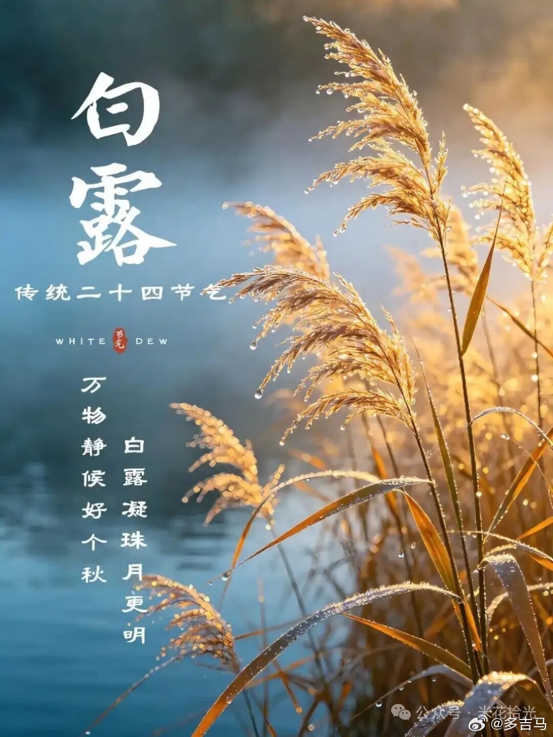 别让人生输给心情。心情不是人生的全部，却能左右人生。控制好心情，生活才会处处祥和