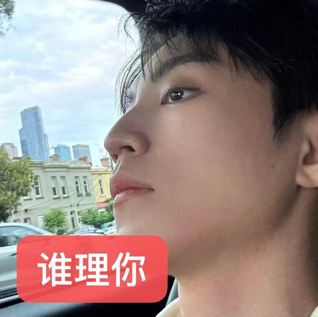 王俊凯新自拍的实用度100000000%……就这样仅用四张图涵盖所有心情的我 