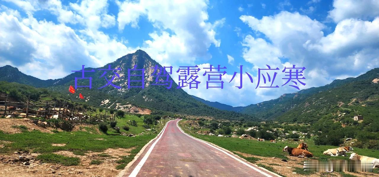 给大家推荐一个太原周边的露营🏕️地古交小应寒有山，有水，有牛🐮，环境不错初步