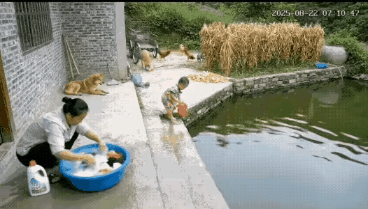 这狗可是立了大功。比人反应快多了。