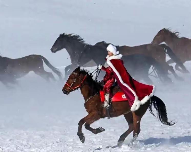 雄鹰向天飞，骏马任驰骋。忠心明月鉴，英名天下振。