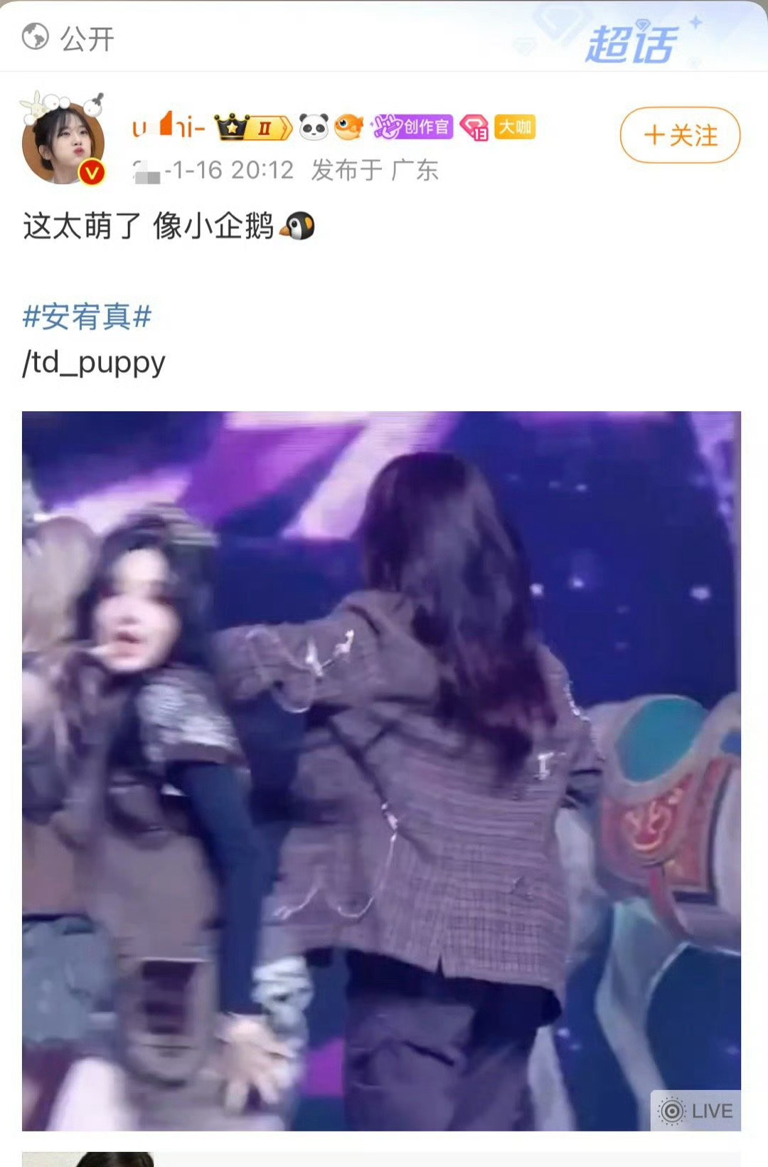 这太萌了 像小企鹅🐧 