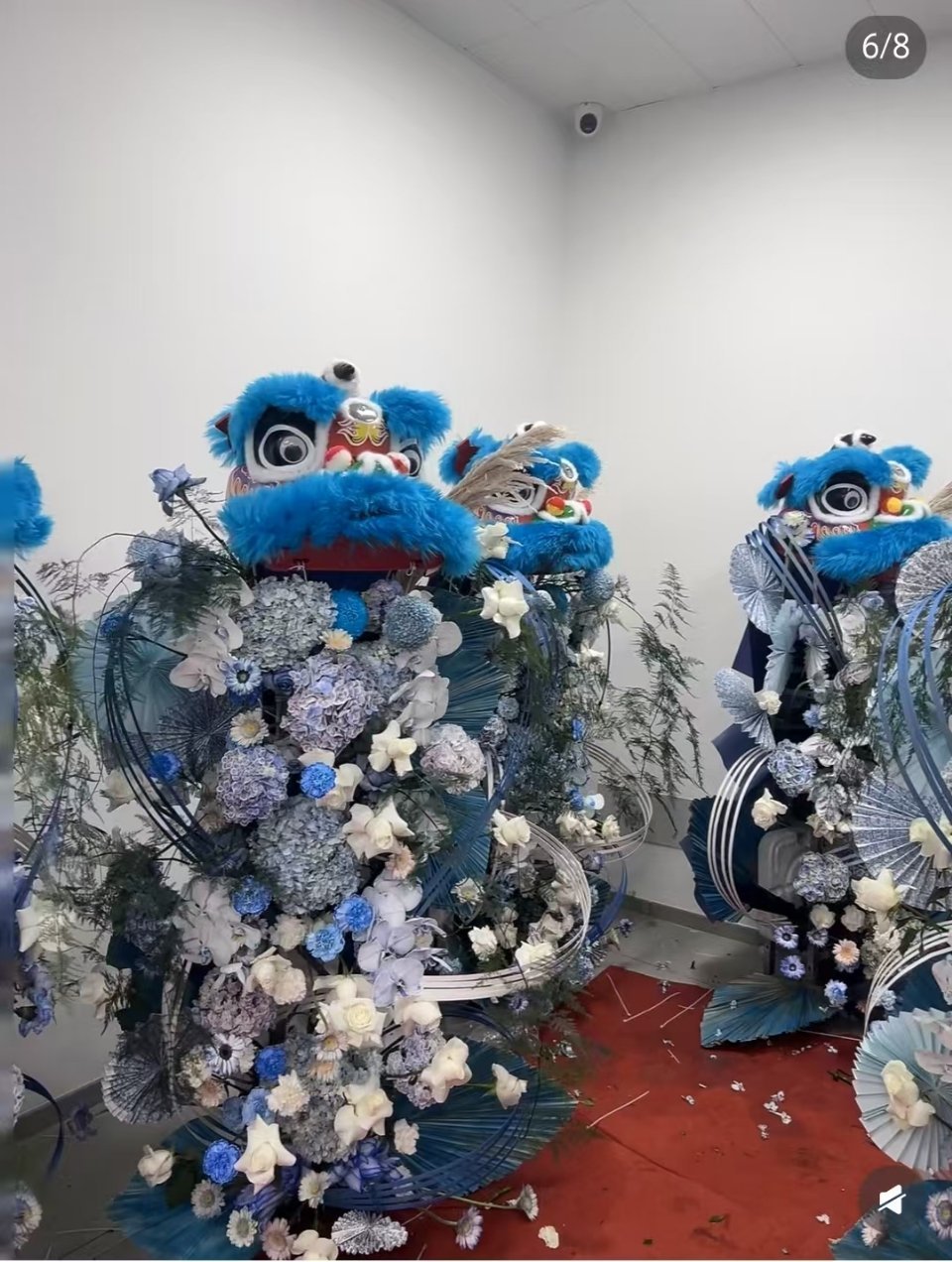 周深用解说方式打开周深彩排周深广州演唱会 醒狮的花篮还挺好看的 