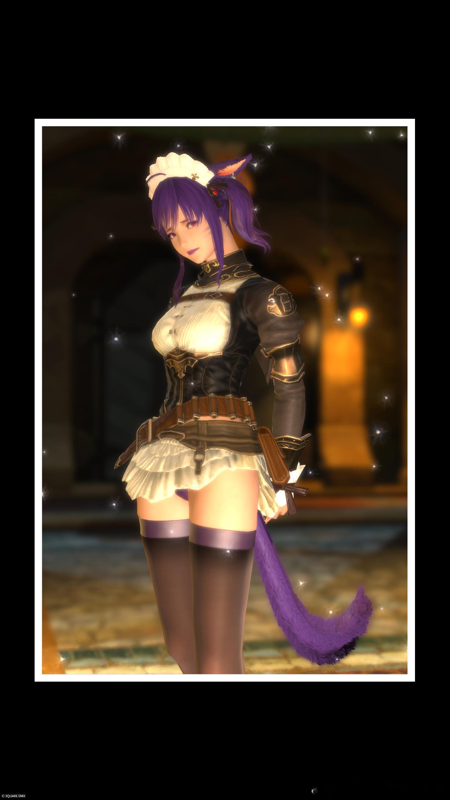 紫色猫猫女仆（骑士、战士、DK和枪刃） 