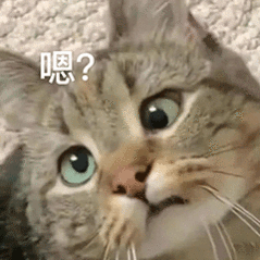 涉事医院通报男性子宫论文处理情况真看笑了，话说这种论文写出来，就不审核么。而且有